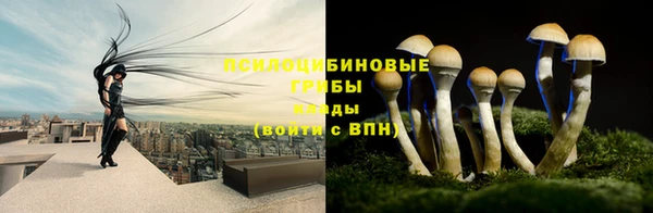 мескалин Баксан