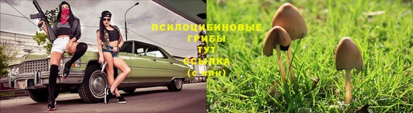 a pvp Балахна