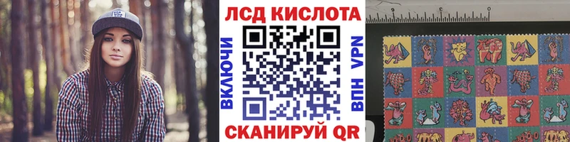 где купить   Белая Холуница  Марки N-bome 1500мкг 