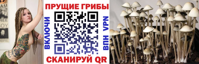 закладка  Белая Холуница  Псилоцибиновые грибы мухоморы 
